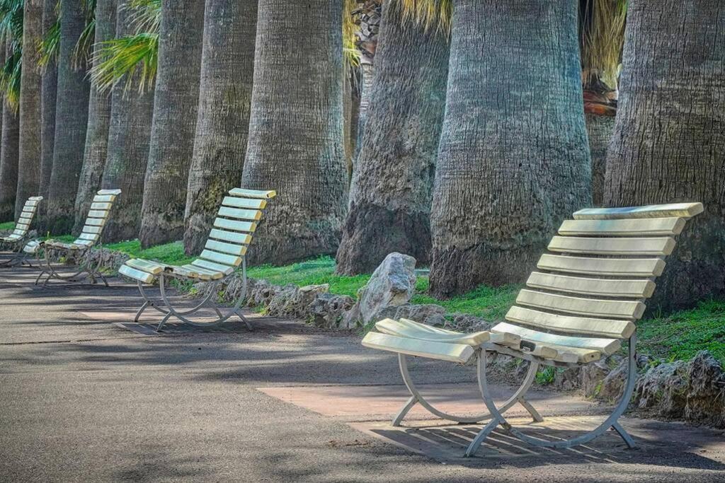 Le Palm - 100m Plage - Croisette - Verrière Côte d’Azur Appartamento Cannes Esterno foto